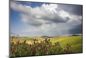 Red flowers and rainbow frame the green hills and farmland of Crete Senesi (Senese Clays), Province-Roberto Moiola-Mounted Photographic Print