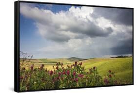 Red flowers and rainbow frame the green hills and farmland of Crete Senesi (Senese Clays), Province-Roberto Moiola-Framed Stretched Canvas