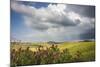 Red flowers and rainbow frame the green hills and farmland of Crete Senesi (Senese Clays), Province-Roberto Moiola-Mounted Photographic Print