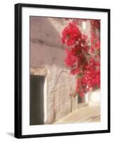 Red Flowers & Building, Epirus, Greece-Walter Bibikow-Framed Photographic Print