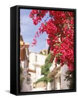 Red Flowers, Epirus, Greece-Walter Bibikow-Framed Stretched Canvas