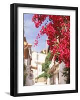 Red Flowers, Epirus, Greece-Walter Bibikow-Framed Photographic Print