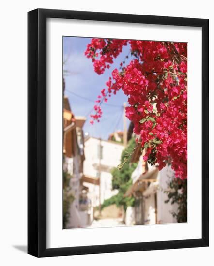 Red Flowers, Epirus, Greece-Walter Bibikow-Framed Photographic Print