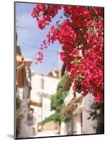 Red Flowers, Epirus, Greece-Walter Bibikow-Mounted Photographic Print