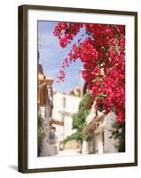 Red Flowers, Epirus, Greece-Walter Bibikow-Framed Photographic Print