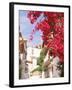 Red Flowers, Epirus, Greece-Walter Bibikow-Framed Photographic Print