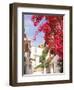 Red Flowers, Epirus, Greece-Walter Bibikow-Framed Photographic Print