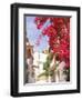 Red Flowers, Epirus, Greece-Walter Bibikow-Framed Photographic Print