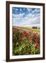 Red flowers frame the gentle green hills of Val d'Orcia, UNESCO World Heritage Site, Province of Si-Roberto Moiola-Framed Photographic Print