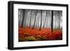 Red Flowers in a Foggy Forest-null-Framed Art Print