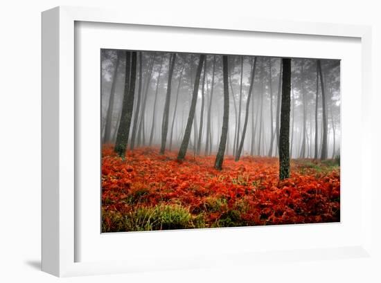 Red Flowers in a Foggy Forest-null-Framed Art Print