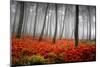 Red Flowers in a Foggy Forest-null-Mounted Art Print