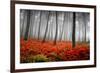 Red Flowers in a Foggy Forest-null-Framed Art Print