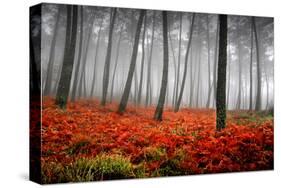 Red Flowers in a Foggy Forest-null-Stretched Canvas