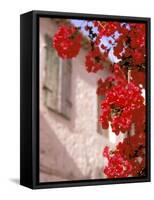 Red Flowers on Main Street, Kardamyli, Messina, Peloponnese, Greece-Walter Bibikow-Framed Stretched Canvas