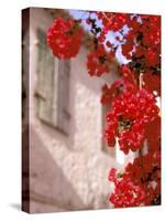 Red Flowers on Main Street, Kardamyli, Messina, Peloponnese, Greece-Walter Bibikow-Stretched Canvas