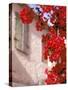 Red Flowers on Main Street, Kardamyli, Messina, Peloponnese, Greece-Walter Bibikow-Stretched Canvas