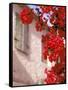 Red Flowers on Main Street, Kardamyli, Messina, Peloponnese, Greece-Walter Bibikow-Framed Stretched Canvas