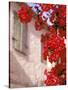 Red Flowers on Main Street, Kardamyli, Messina, Peloponnese, Greece-Walter Bibikow-Stretched Canvas