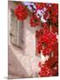 Red Flowers on Main Street, Kardamyli, Messina, Peloponnese, Greece-Walter Bibikow-Mounted Photographic Print