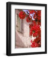 Red Flowers on Main Street, Kardamyli, Messina, Peloponnese, Greece-Walter Bibikow-Framed Premium Photographic Print