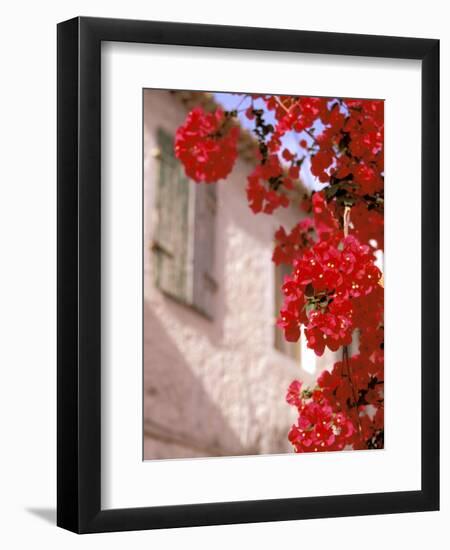 Red Flowers on Main Street, Kardamyli, Messina, Peloponnese, Greece-Walter Bibikow-Framed Premium Photographic Print