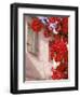 Red Flowers on Main Street, Kardamyli, Messina, Peloponnese, Greece-Walter Bibikow-Framed Premium Photographic Print