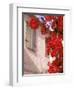 Red Flowers on Main Street, Kardamyli, Messina, Peloponnese, Greece-Walter Bibikow-Framed Premium Photographic Print