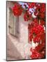 Red Flowers on Main Street, Kardamyli, Messina, Peloponnese, Greece-Walter Bibikow-Mounted Premium Photographic Print