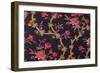 Red Flowers with Purple Leaves-null-Framed Giclee Print