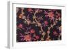 Red Flowers with Purple Leaves-null-Framed Giclee Print