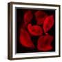 Red Flowers-Unaciertamirada-Framed Photographic Print