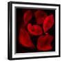 Red Flowers-Unaciertamirada-Framed Photographic Print