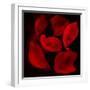 Red Flowers-Unaciertamirada-Framed Photographic Print