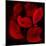 Red Flowers-Unaciertamirada-Mounted Photographic Print