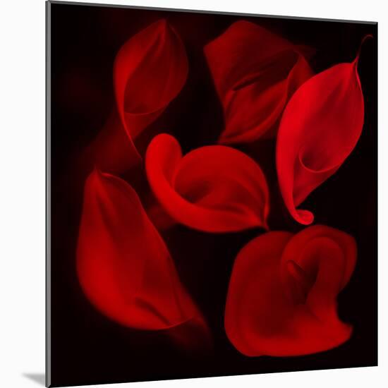 Red Flowers-Unaciertamirada-Mounted Photographic Print