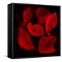 Red Flowers-Unaciertamirada-Framed Stretched Canvas