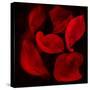 Red Flowers-Unaciertamirada-Stretched Canvas