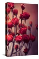 Red Flowers-Incado-Stretched Canvas