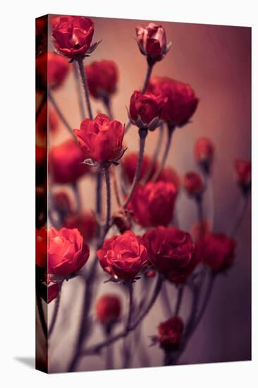 Red Flowers-Incado-Stretched Canvas