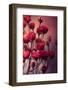Red Flowers-Incado-Framed Photographic Print