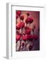 Red Flowers-Incado-Framed Photographic Print