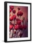 Red Flowers-Incado-Framed Photographic Print