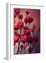 Red Flowers-Incado-Framed Photographic Print