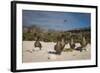 Red-Footed Booby Juvenile, Galapagos Islands, Ecuador-Pete Oxford-Framed Photographic Print