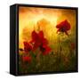 Red for Love-Philippe Sainte-Laudy-Framed Stretched Canvas