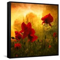 Red for Love-Philippe Sainte-Laudy-Framed Stretched Canvas