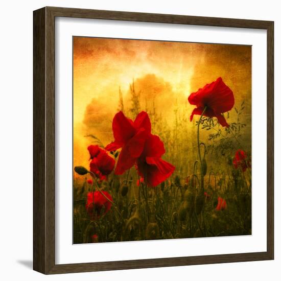 Red for Love-Philippe Sainte-Laudy-Framed Premium Photographic Print