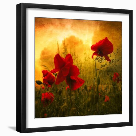 Red for Love-Philippe Sainte-Laudy-Framed Premium Photographic Print