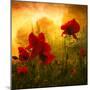 Red for Love-Philippe Sainte-Laudy-Mounted Premium Photographic Print